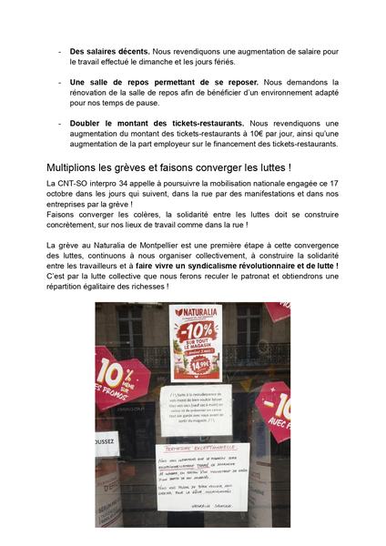 Communiqué de presse sur la grève à Naturalia_page-0002