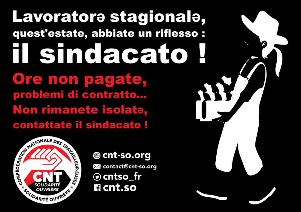 cnt_so_saisonnieres_it-1024x724.png