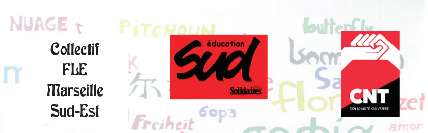 Compte-rendu de la soirée-débat "Enseignant.e.s, formatrices et formateurs, quelles pratiques pour résister à la glottophobie ?"