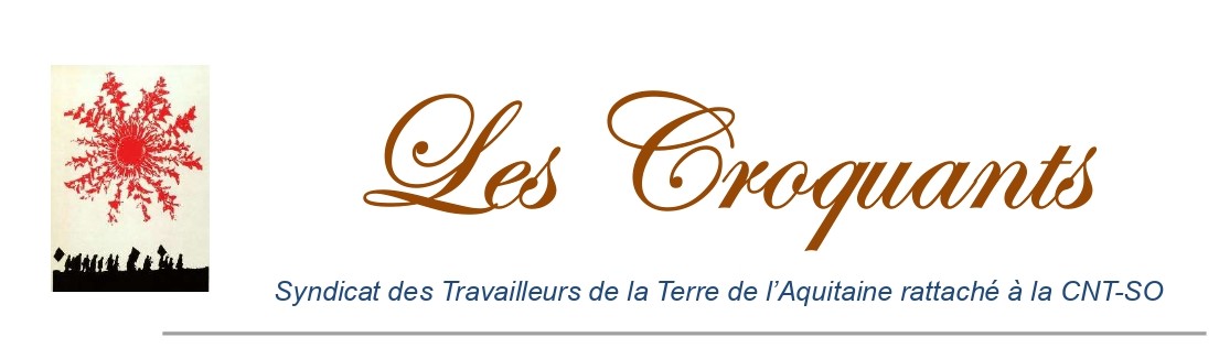 Les croquants n°1 - décembre 2024