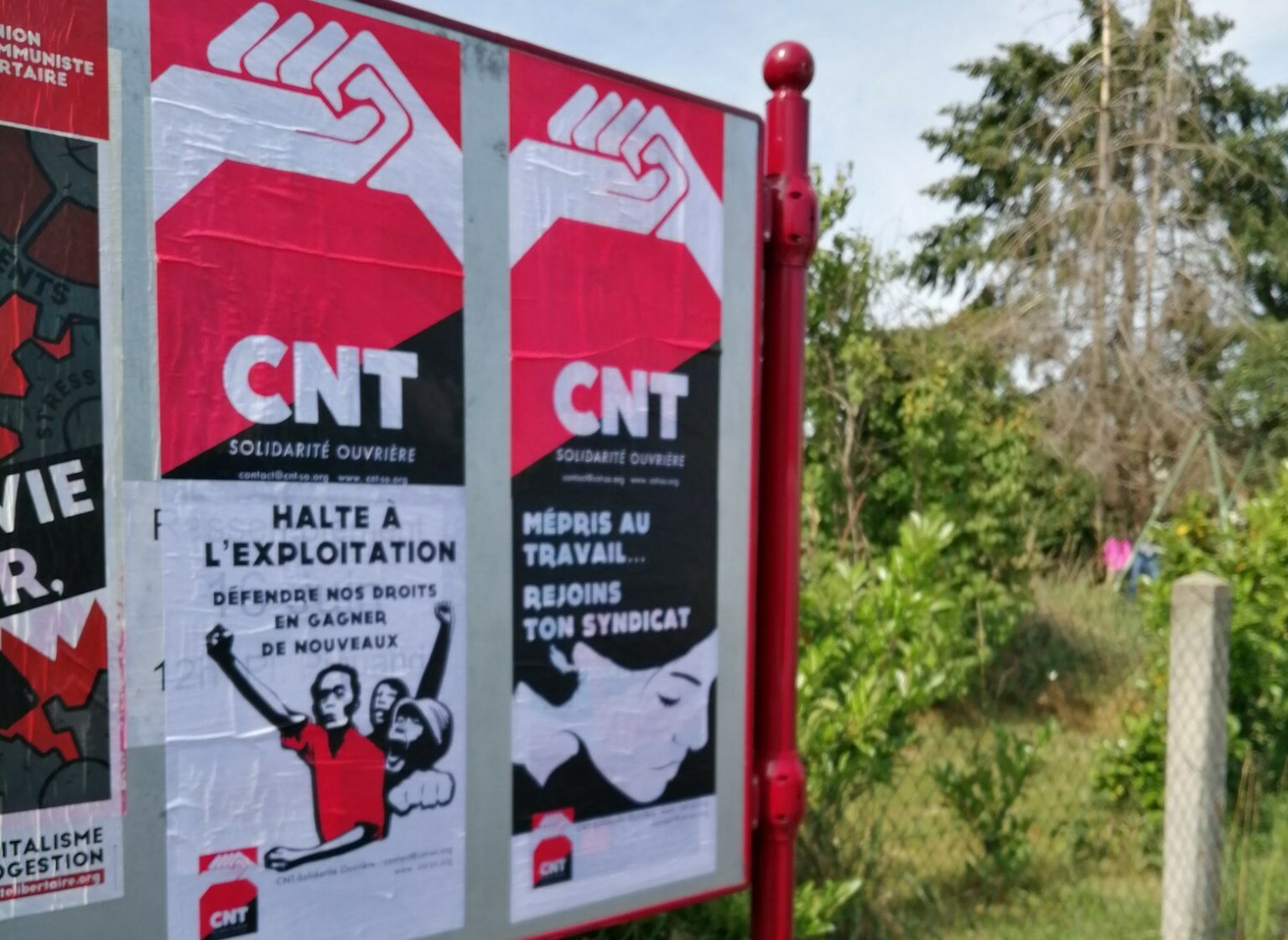 Le rouge et le noir égayent le paysage